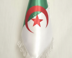 علم وطني مكتبي