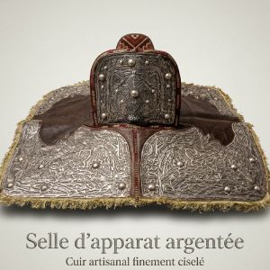 سرج شقة فضي فاخر