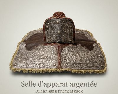 سرج شقة فضي فاخر