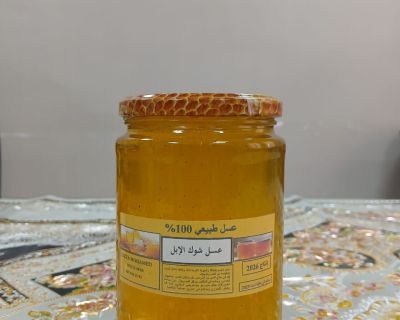 Miel de Chardon (Miel d’Akoub)